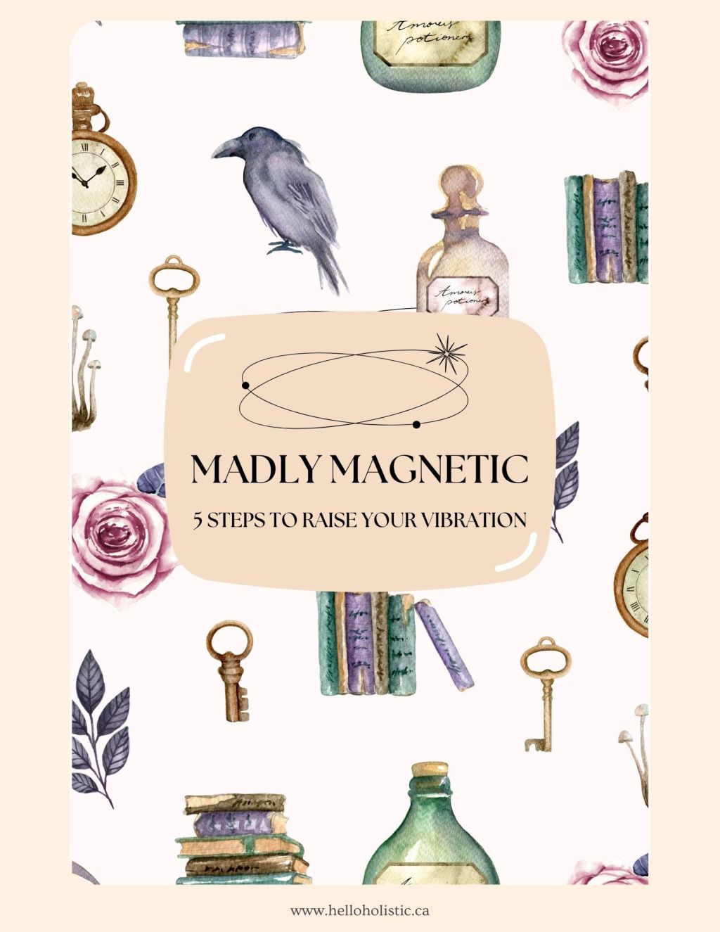 Madly Magnetic | 5 Steps to Raise Your Vibration- Free Workbook